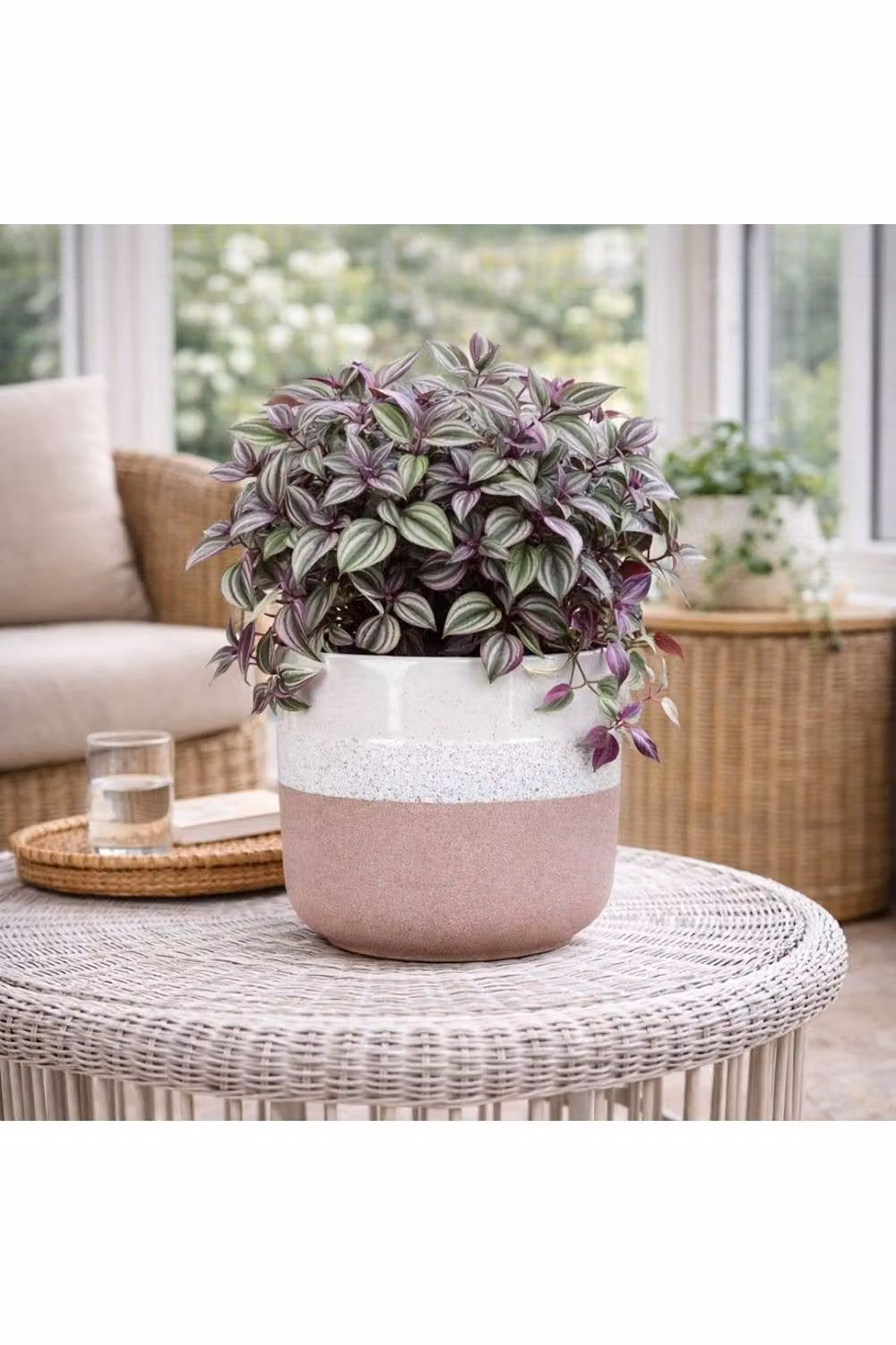 KDMD Hortus Pink and White Bordeaux Stoneware Pot, H 22.5 cm x Dia 24.5 cm – 2