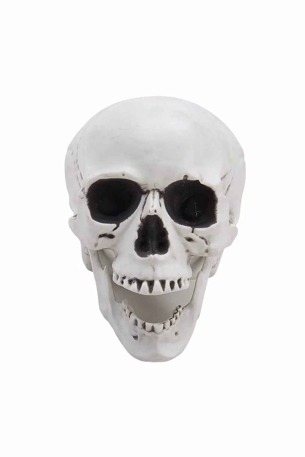 Livingandhome White Realistic Plastic Skull Head Halloween Tabletop Decoration – 2