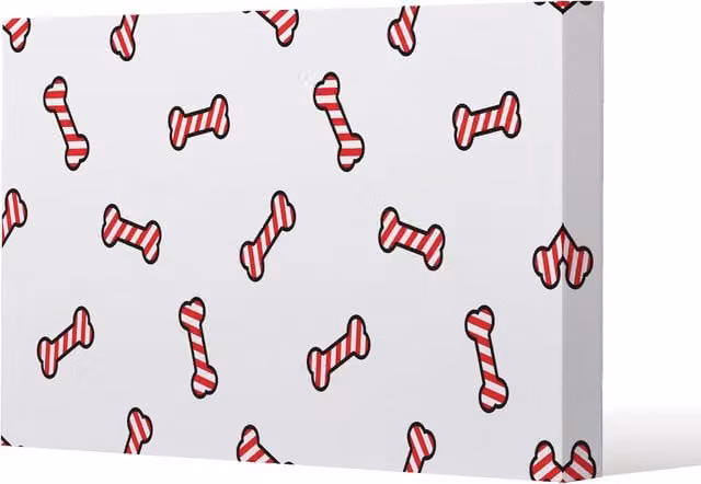 Benjamin Tate Design LTD Dog Bone Gallery Canvas Wall Art in Red and White, W: 77 cm, H: 51 cm