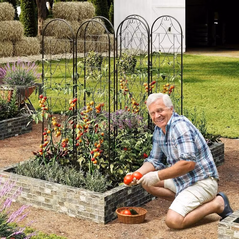VOGREX 2-Panel Metal Garden Decorative Trellis for Climbing Plants in Black, H 75 cm x W 22 cm – 4