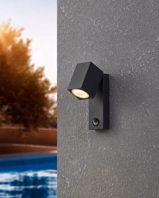 Eglo SAKEDA Anthracite Outdoor Wall Light with Motion and Dusk Sensors in Grey Aluminium – 1