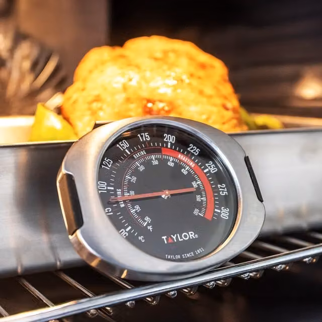 Taylor Pro Round Stainless Steel Leave-In Oven Thermometer - Silver