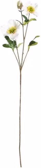 KDMD Botanica White Rose Spray, 3 Pack, Height: 72 cm