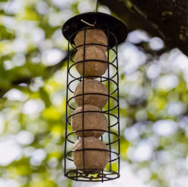 Garden Mile Hanging Fat Ball Bird Feeder in Black