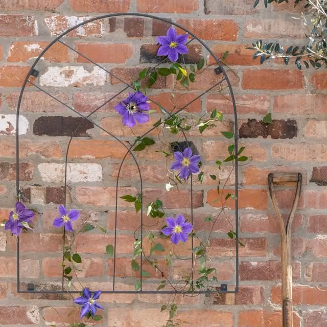Ivyline Outdoor Arch Trellis in Galvanised Steel, H100cm x W80cm