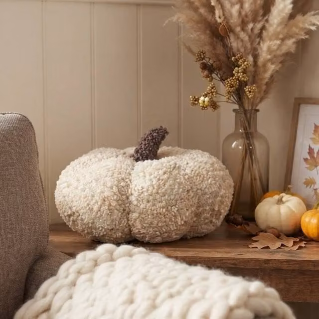 Garden Greatness Neutral Textured Pumpkin Cushion in Cream – 1