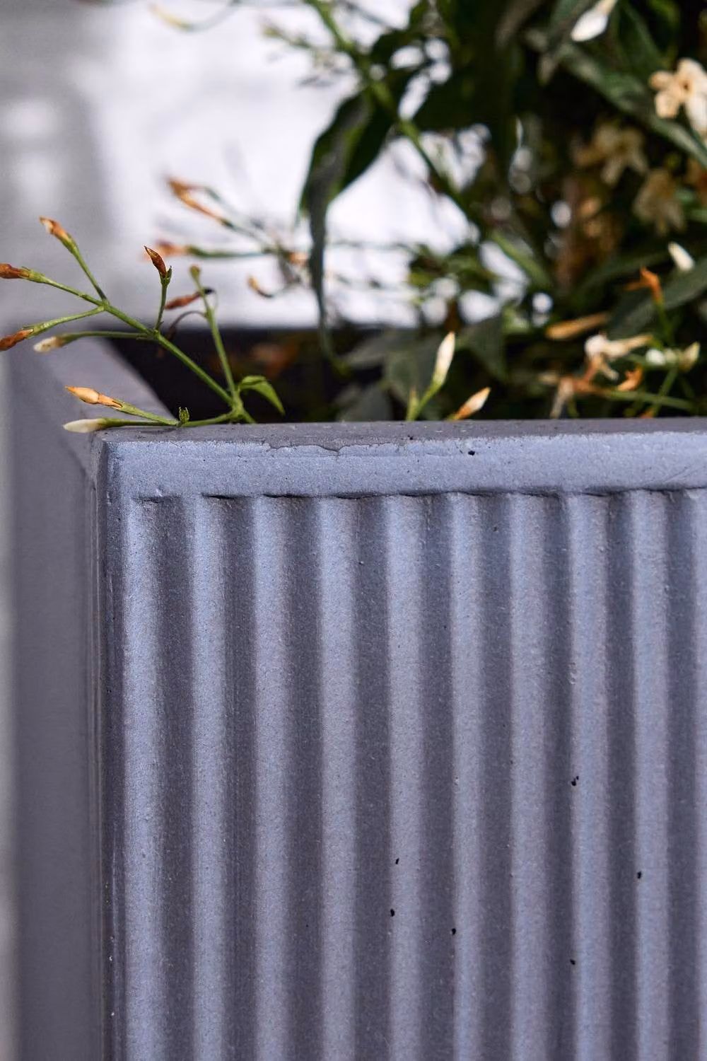 Dibor Set of 4 Large Ribbed Fibre Clay Plant Pots in Grey – 3