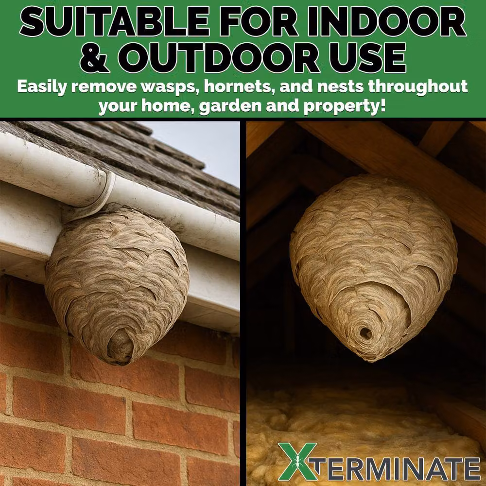 Xterminate Wasp Nest Killer Spray Foam with 5m Long Reach for Indoor and Outdoor Use, White, 1 Pack – 5