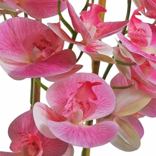 Leaf Design UK Light Pink Artificial Orchid with Black Ceramic Planter, Height: 70 cm, Width: 30 cm, Depth: 30 cm – 3