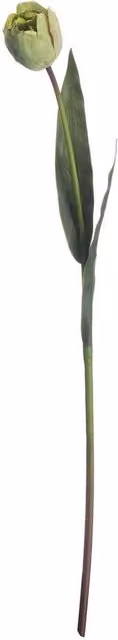 Hill Interiors Artificial Green Tulip Plant – 1