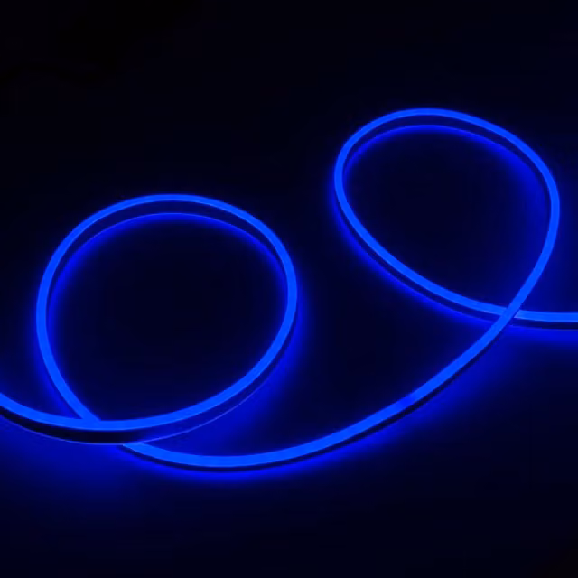 Livingandhome Blue Neon Flex LED Strip Light with Power Supply, IP65 Waterproof, 5m