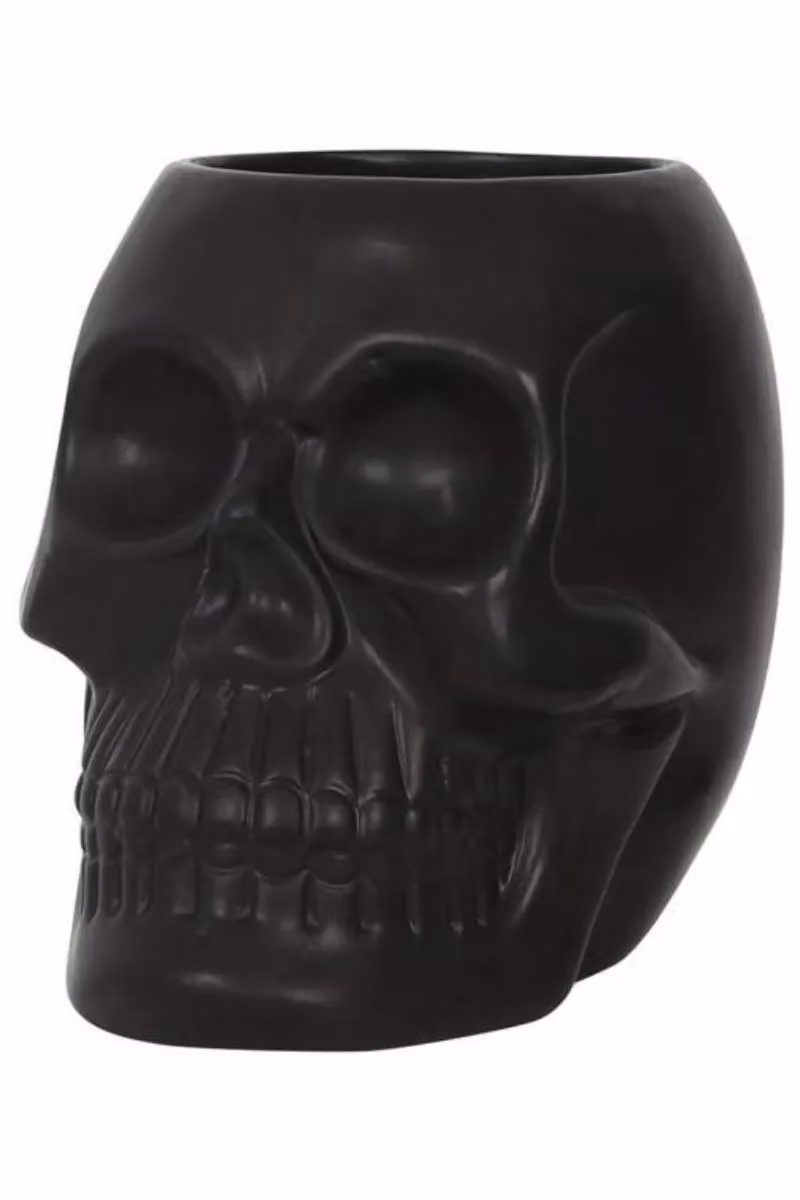KDMD Black Skull Plastic Tabletop Plant Pot – 2