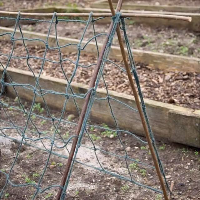 Primrose Green Jute Support Netting