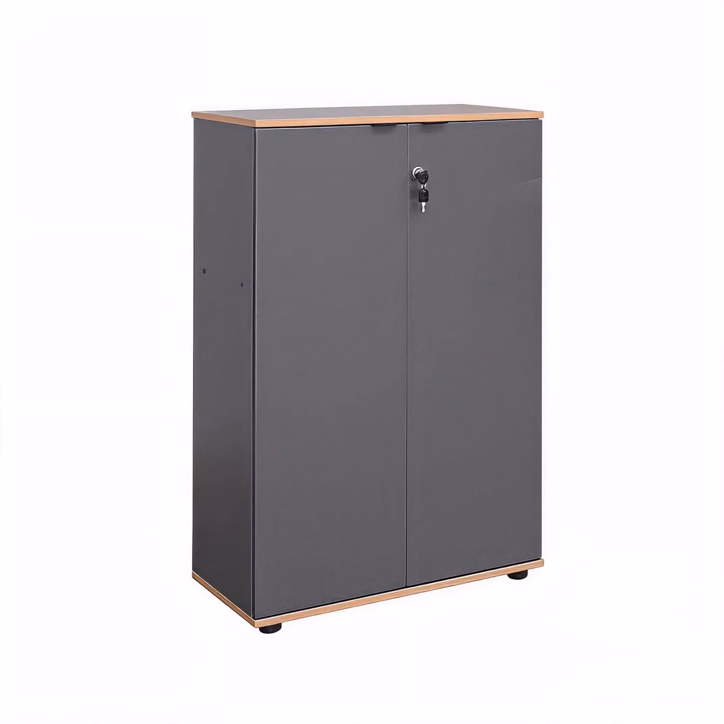FWStyle Modern 2 Door Lockable Office Storage Cabinet in Anthracite Grey – 2
