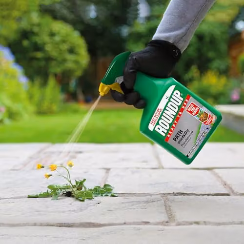 Roundup Path Weedkiller, 1 l – 2