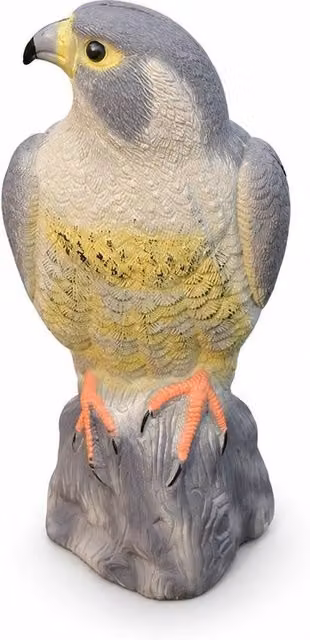 SPETLEK Realistic Hawk Decoy Bird Scarer Pest Deterrent for your Garden, Multicolour, H 100 cm x W 15 cm – 1