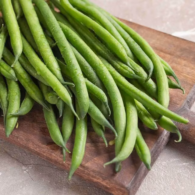 Marshalls Modesto Dwarf French Bean Seeds, Compact Bush Variety, 75 Seeds