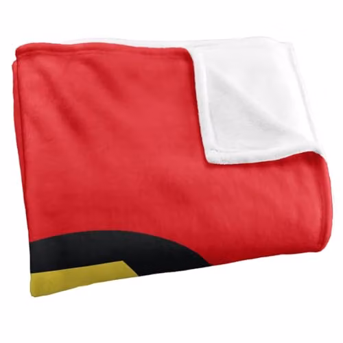 LOGOVISION DC Originals Robin Logo Super Soft Silky Touch Fleece Throw Blanket, Multicolour, W: 91.44 cm x D: 91.44 cm x H: 147 cm – 2
