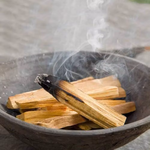 Ancient Wisdom Organic Green Tree Palo Santo Wood Sticks, Brown, 50g – 2