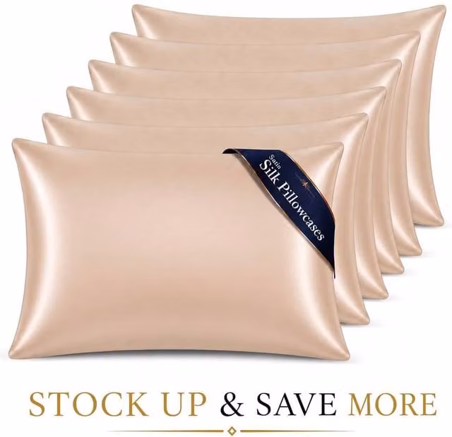 Pamposh Luxury Mako Satin Silk Pillowcase Set of 6 in Beige