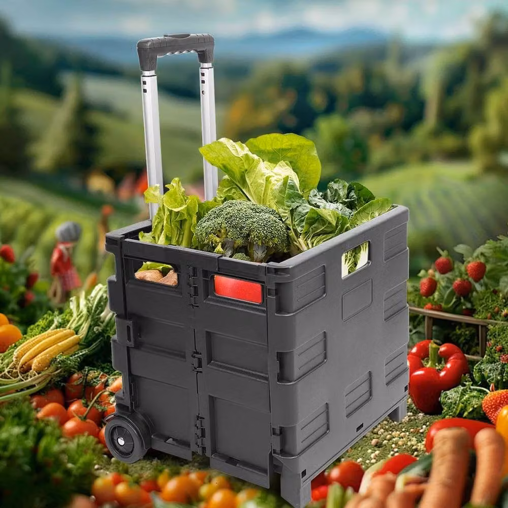 FLAVORA Folding Boot Cart Shopping Trolley in Black – 5