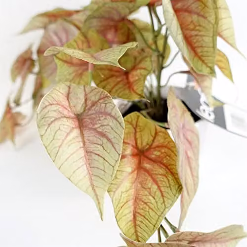 Leaf Design UK Realistic Artificial Floral Potted Plant in White and Pink – 2