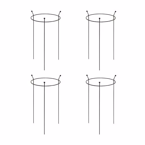 Samuel Alexander 4 Pack of Heavy Duty Steel Herbaceous Plant Support Rings in Black, H 60 cm x W 35 cm x D 35 cm