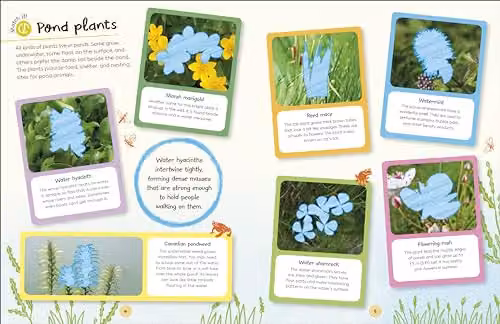DK RHS Ultimate Sticker Book Garden Pond New Edition Multicolour – 2