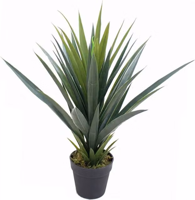 Artificial Green Agave Succulent Potted Plant with Spiky Tropical Leaves in a Black Tabletop Pot