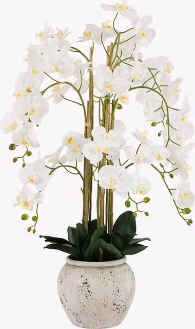 Perch & Parrow White Faux Real Touch Orchid in a Round Concrete Style Pot