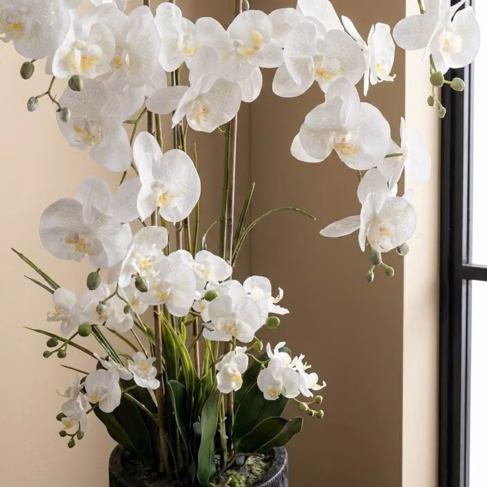 Garden Greatness Maison Botanical Real Touch Orchid in White and Multicolour, Height: 150 cm – 2