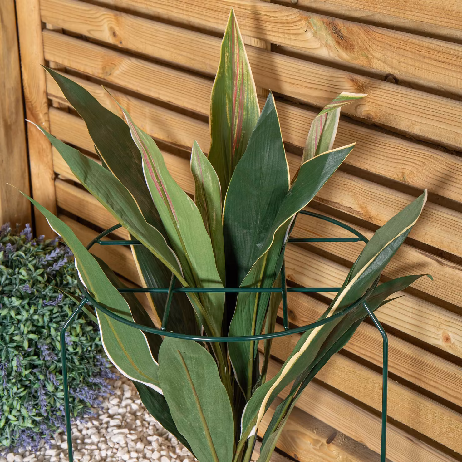 Samuel ALEXANDER Pack of 3 Green Metal Herbaceous Garden Plant Supports, W/D/H: 50 x 30 x 30 cm – 4
