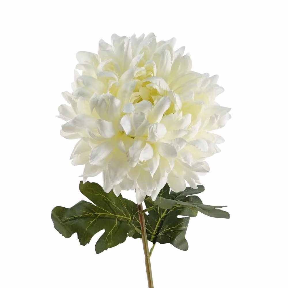 Leaf Pack of 6 White Artificial Extra Reflex Chrysanthemums, 75 cm – 3