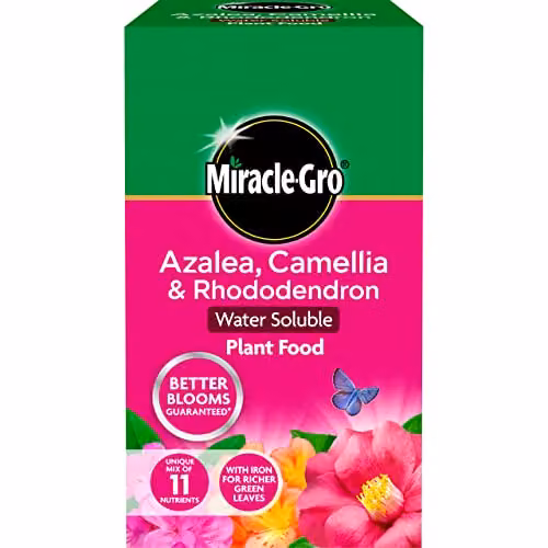 Miracle-Gro Azalea, Camellia and Rhododendron Soluble Plant Food, 1 kg