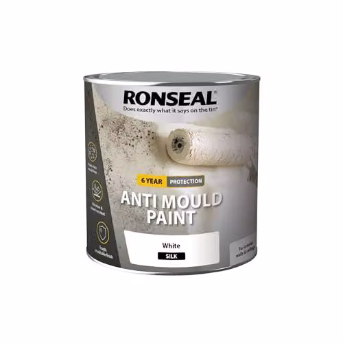 Ronseal Anti Mould Paint White Satin Gloss 2.5l