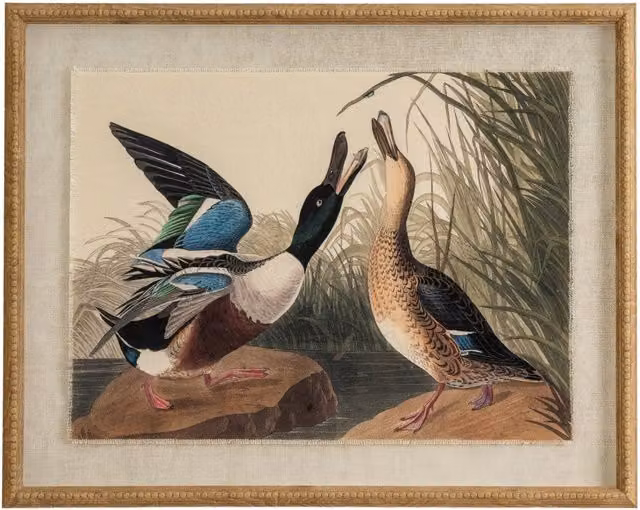 KDMK Flora Fauna Mallard on Linen Beaded Frame Wall Artwork in Brown, Beige and Multicolour
