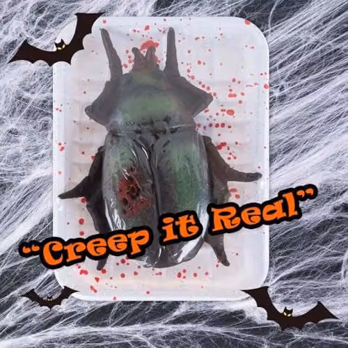 VFM e-Store Black Plastic Halloween Insect Decoration for Adults, 18.5 cm – 6