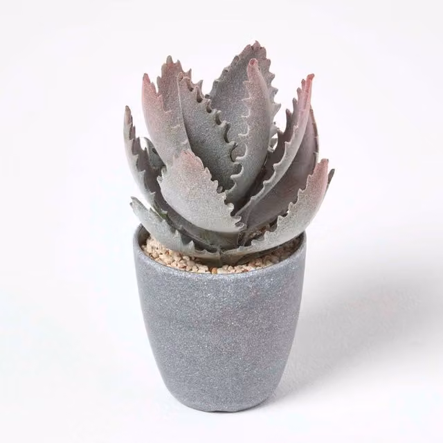 Homescapes Purple and Green Aloe Vera Artificial Succulent in a Grey Pot – 1