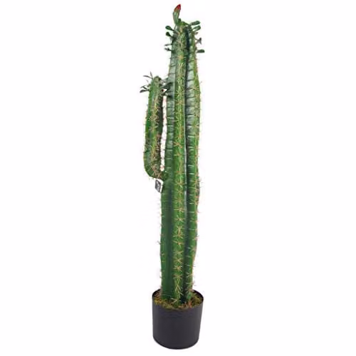 Leaf Design UK Premium Artificial Succulent Cactus in a Black Pot, Height: 110 cm