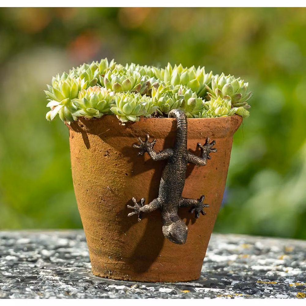 Jardinopia Antique Bronze Gecko Pot Buddy Hanging Plant Pot Hanger – 4