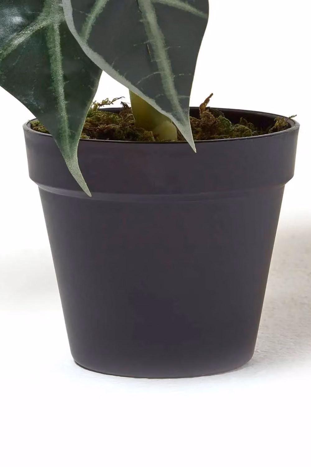 Homescapes Artificial Elephant Ear Plant in Green Pot, Height: 50 cm – 3