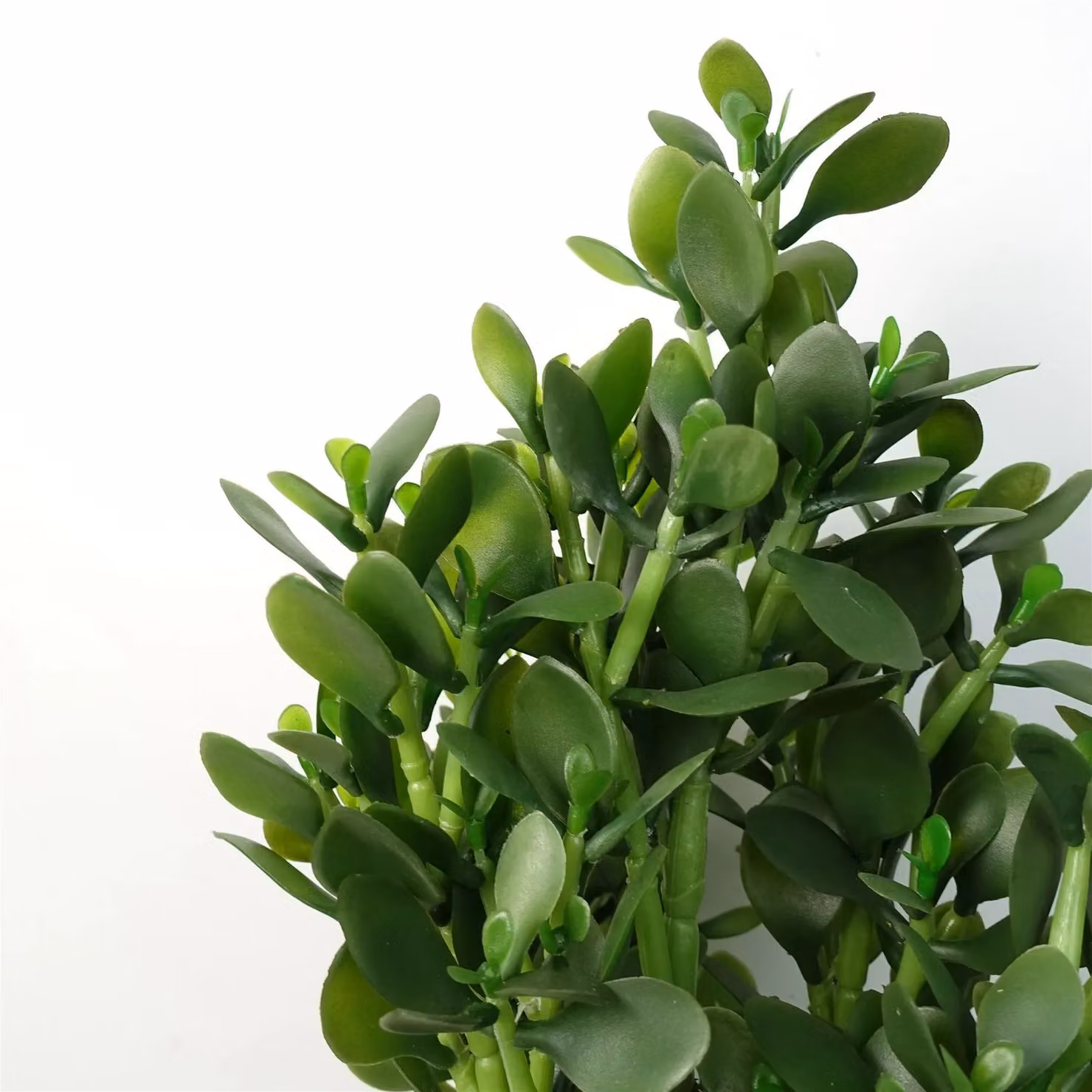 Leaf Faux Deluxe 75cm Artificial Green Jade Plant – 3