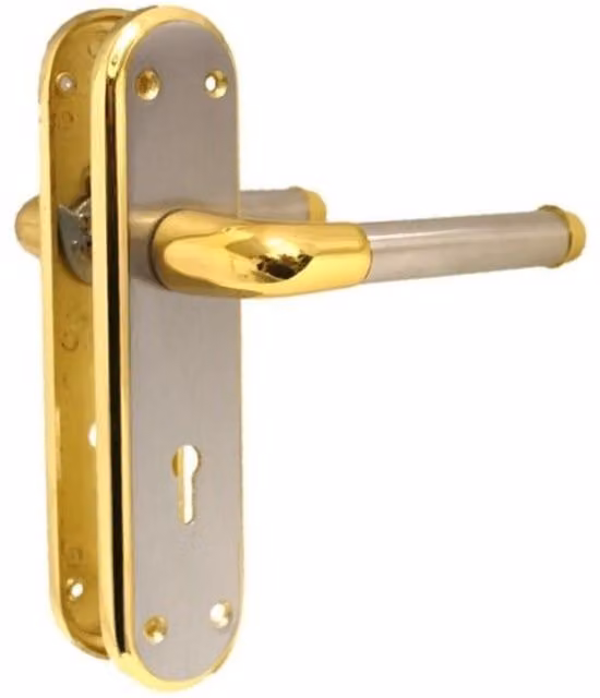 Betley Butterfly Lock Lever Door Handle in Silver and Gold