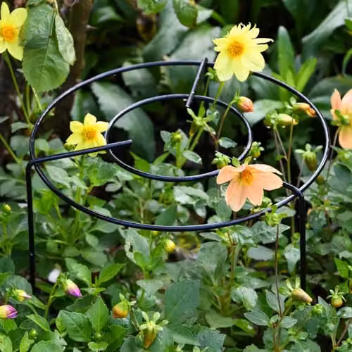 Garden Gear Double Round Grow Through Grid Ring Plant Support, Height: 30 cm, Pack of 5 – 3