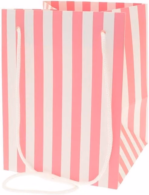 Kingsbury Gifts Pink Candy Stripe Paper Gift Bags