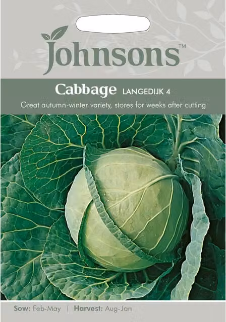 Johnsons Langedijk Cabbage Spring Vegetable Seeds, Green