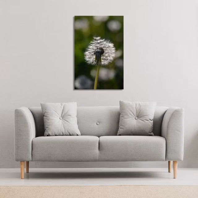 Benjamin Tate Design LTD Fluffy Flower Botanical Canvas Print, Green and Multicolour, W: 41 cm, H: 61 cm