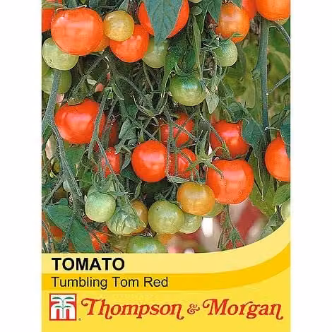 Thompson and Morgan Tumbling Tom Red Tomato Seeds, 15 Seeds per Packet – 1