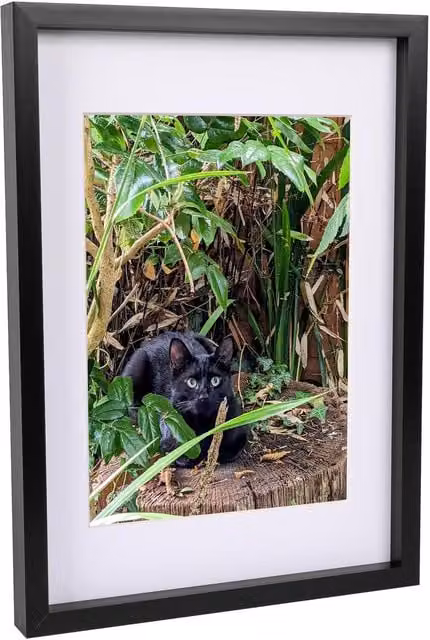 Nicola Spring Single Rectangular 3D Box Photo Frame with A4 Mount in Black or White