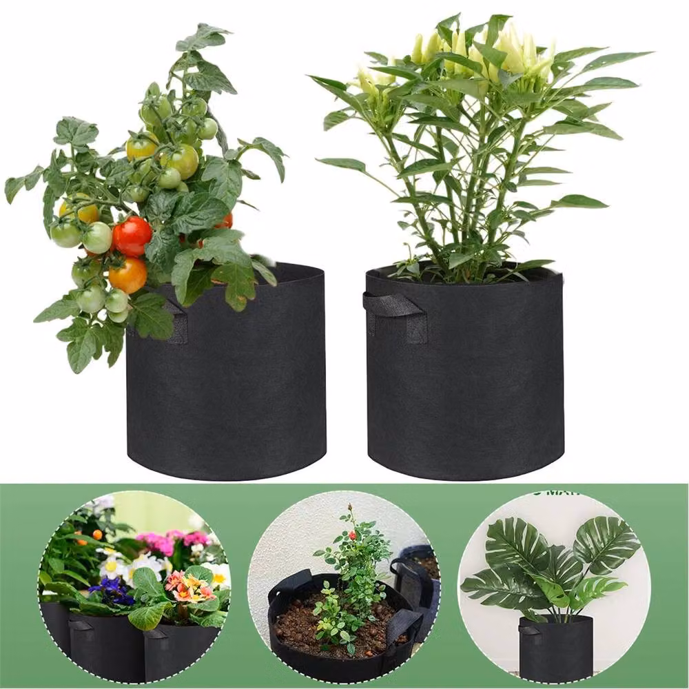 SPETLEK 10 Pack Large Black Plastic Grow Bags for Vegetables and Fruit – 3